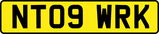 NT09WRK