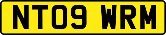 NT09WRM