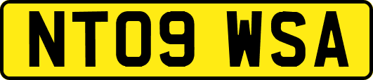 NT09WSA