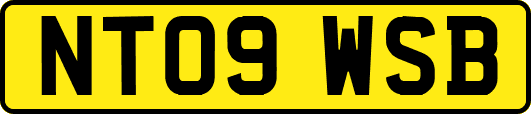 NT09WSB