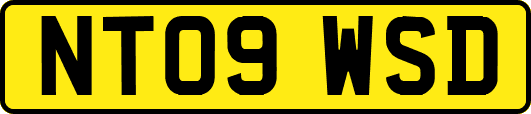 NT09WSD