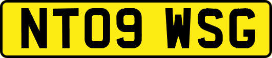 NT09WSG