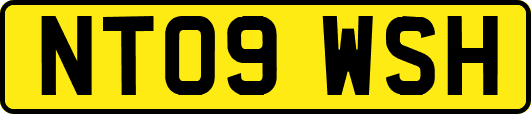 NT09WSH