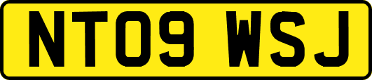 NT09WSJ