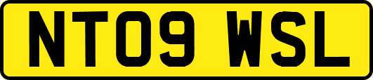 NT09WSL