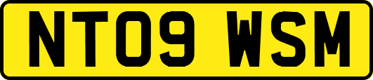 NT09WSM