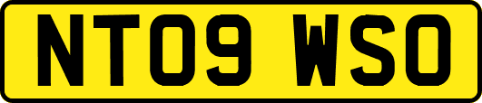 NT09WSO