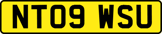 NT09WSU