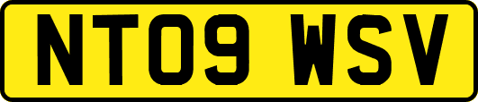 NT09WSV