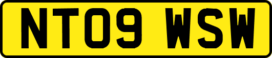 NT09WSW