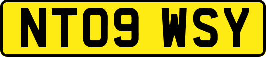 NT09WSY