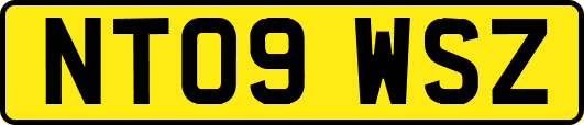 NT09WSZ