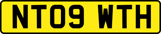 NT09WTH