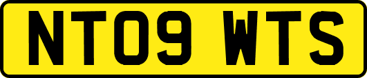 NT09WTS