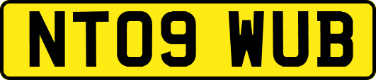 NT09WUB