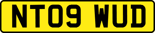 NT09WUD