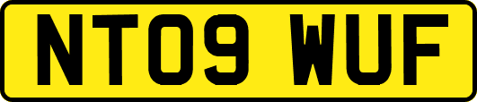 NT09WUF