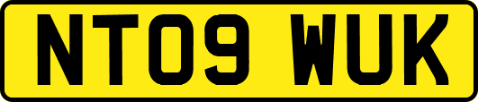 NT09WUK