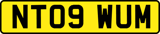 NT09WUM