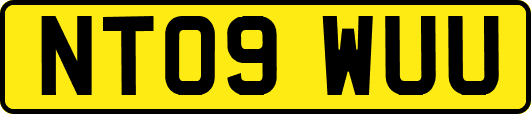 NT09WUU