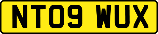NT09WUX