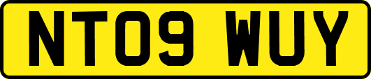 NT09WUY
