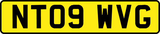 NT09WVG