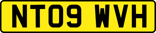 NT09WVH