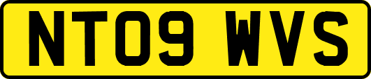 NT09WVS