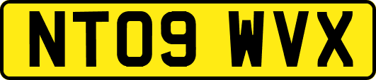 NT09WVX