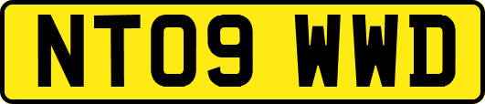 NT09WWD