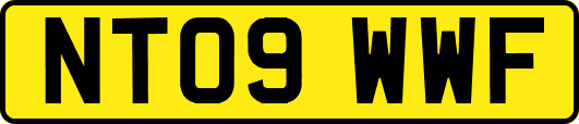 NT09WWF