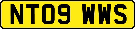 NT09WWS