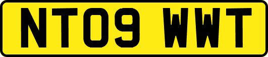NT09WWT