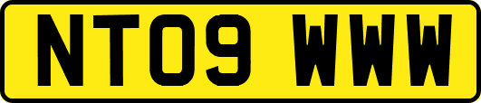 NT09WWW