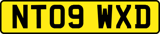 NT09WXD