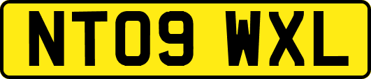 NT09WXL