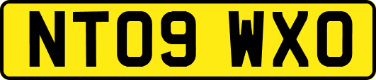 NT09WXO