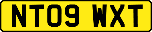 NT09WXT