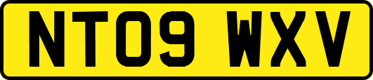 NT09WXV
