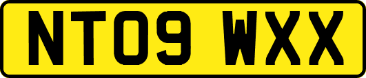 NT09WXX