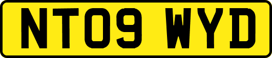 NT09WYD