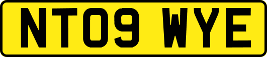 NT09WYE