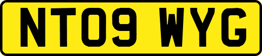 NT09WYG