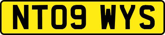 NT09WYS
