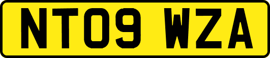 NT09WZA