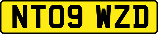NT09WZD