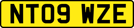NT09WZE