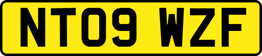NT09WZF