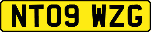 NT09WZG